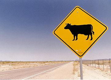 《微软飞行模拟》玩家达到了1000万